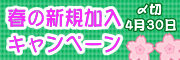 キャンペーン