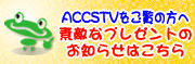 ACCSTVをご覧の方へ素敵なプレゼントのお知らせ