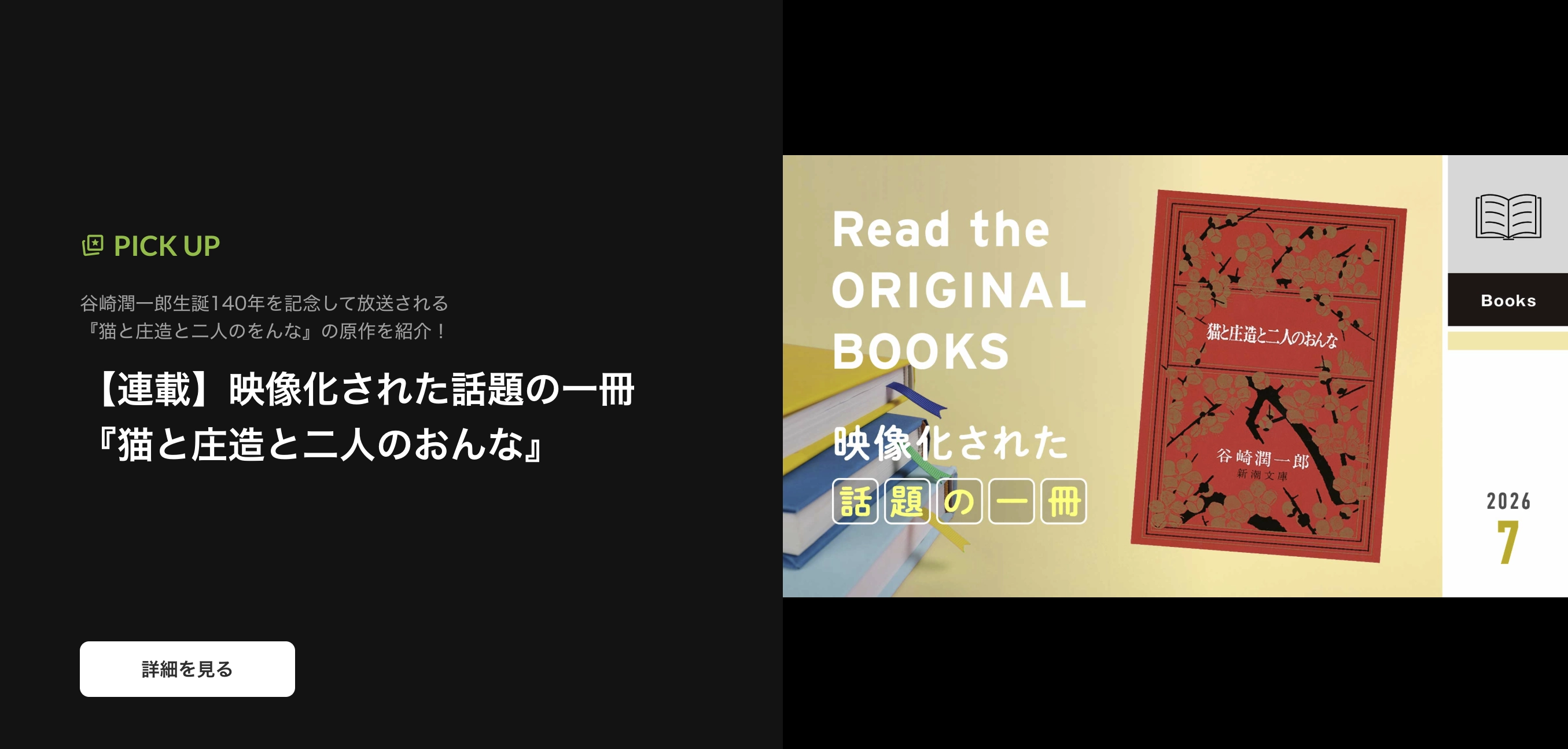チェンネルナビ