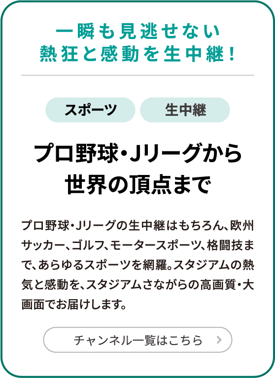 プロ野球・Jリーグから世界の頂点まで