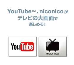 Youtube,niconicoがテレビの大画面で楽しめる！
