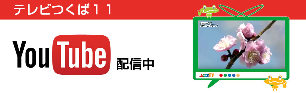 テレビつくば11 Youtube配信中