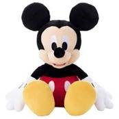 ディズニー チャンネルとディズニージュニアのプレゼントキャンペーン 一般財団法人 研究学園都市コミュニティケーブルサービス Accs